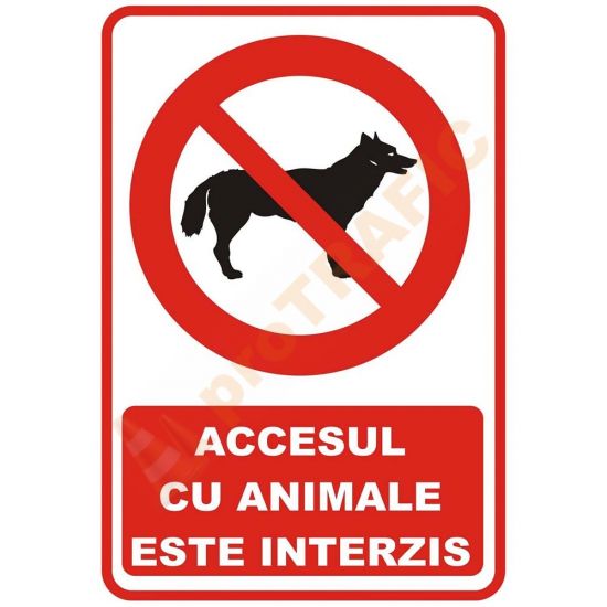 Indicator de securitate de interzicere "Accesul cu animale este interzis"