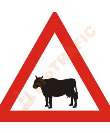 Indicator rutier avertizare A25 Animale domestice