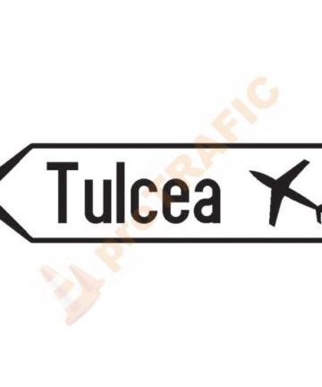 Indicator rutier de orientare F36 Directia spre aeroport