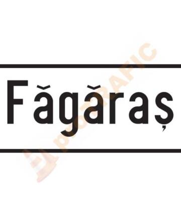 Indicator rutier de orientare F46 Intrare în localitate