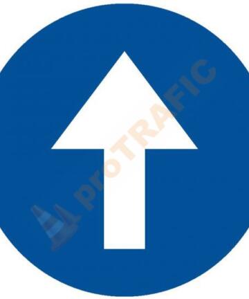 Indicator rutier obligare D1 Inainte